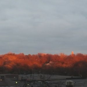 Meet your Posher, Misty